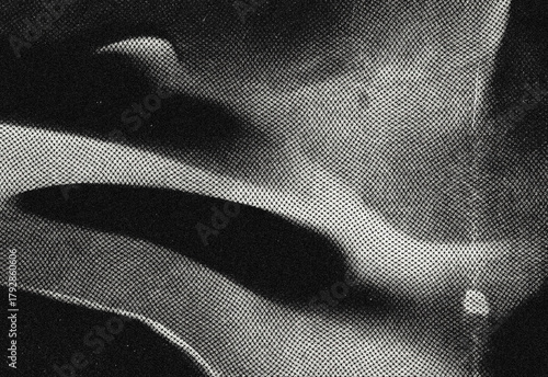 Close up of a monochrome abstract texture featuring curved bands, high grain and smooth tonal transitions, suitable for background design, digital art and visual storytelling
