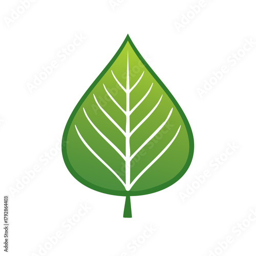Green leaf with white veins illustration stylized nature symbol