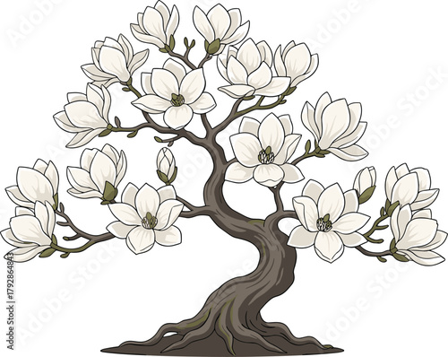 Magnolia bonsai tree with white blooming flowers, elegant floral illustration, natural decor, botanical zen artwork