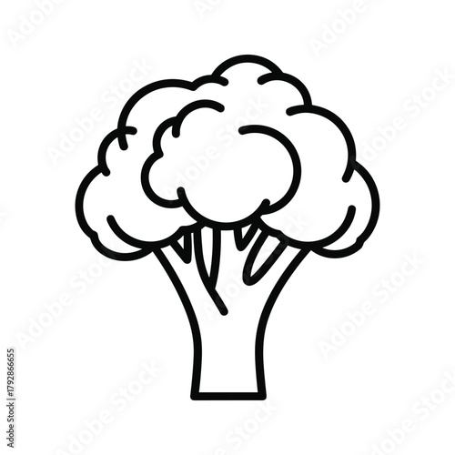 Illustration of a broccoli floret with a thick stem healthy food concept