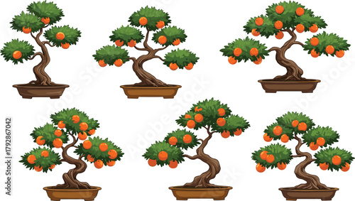 Miniature bonsai orange trees with ripe fruit in pots, perfect for home decor, garden, nature lovers