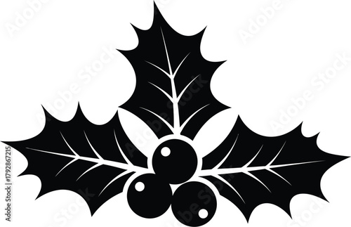 Christmas holly berries. Holly berry Christmas icon and mistletoe leaf decorative vector illustration design 