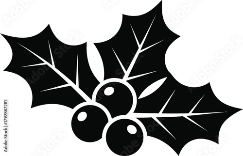 Christmas holly berries. Holly berry Christmas icon and mistletoe leaf decorative vector illustration design 