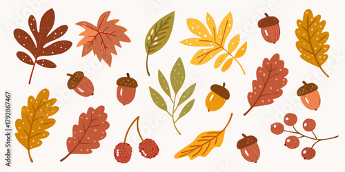 Collection of autumn leaves acorns and berries in warm fall colors on white background