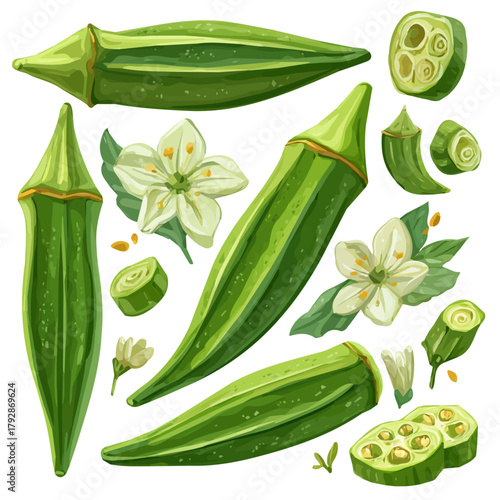A hand drawn Simple flat 2D illustration of Vibrant Okra set isolated on a white background, vector icon set, simple design in a flat design, simple 2D illustration, EPS format