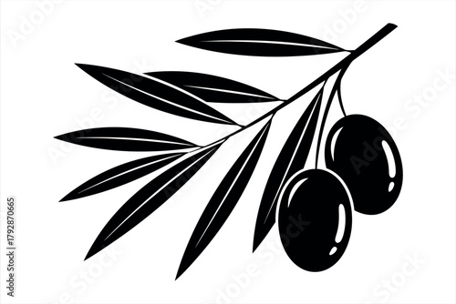 Olive Branch with Olives