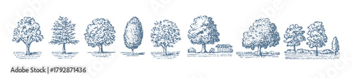 Set of trees. Vintage woodcut linocut engraving style vector illustration.