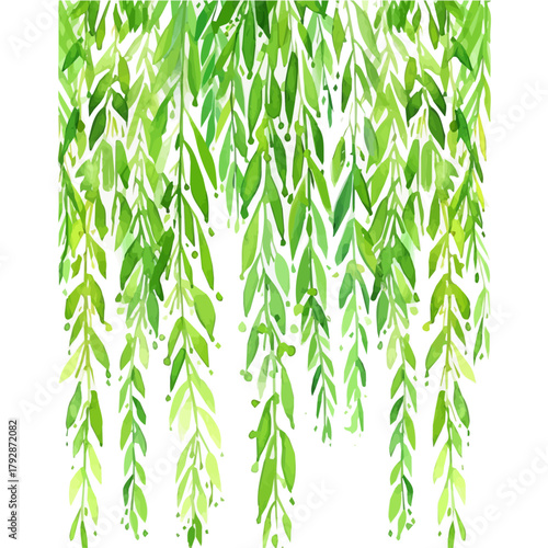 My beautiful hand drawn Watercolor illustration, simple flat hanging willow branch isolated on a white background, illustration, AI painting design, vector set, eps format design, simple painting