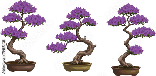 Purple bonsai tree clipart – decorative miniature tree illustrations in potted bonsai style