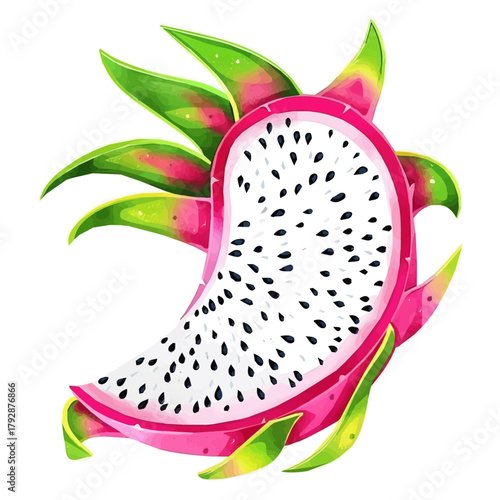 My beautiful hand drawn Watercolor illustration, simple flat sliced dragon fruit isolated on a white background, illustration, AI painting design, vector set, eps format design, simple painting