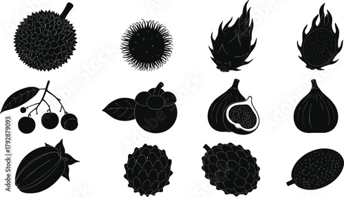 Tropical fruits vector illustration set, black silhouette exotic fruit collection including durian, mangosteen, dragon fruit, fig, cocoa, rambutan, botanical icon design for decoration