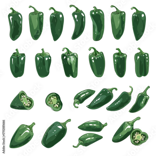 A watercolor simple flat sliced jalapeno painting illustration isolated on a white background, a jalapeno illustration, simple painting