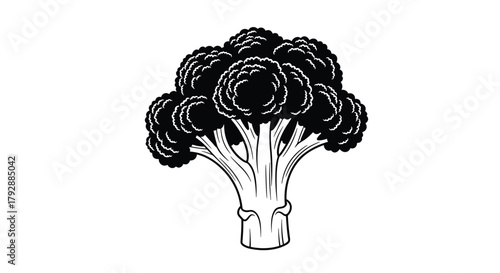 Black and white illustration of a broccoli stalk with florets against a white background.