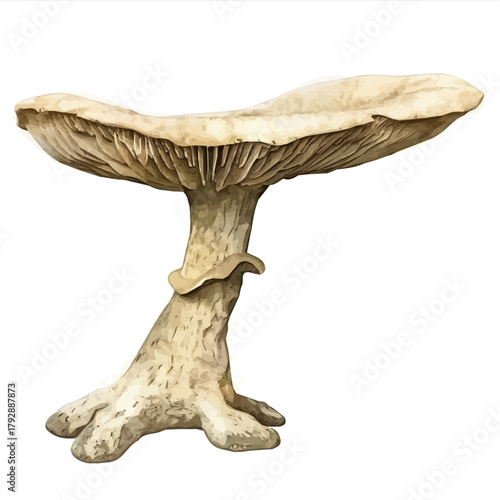 My Watercolor illustration, portobello mushroom painting illustration isolated on a white background, illustration, AI painting design, vector illustration set, eps format