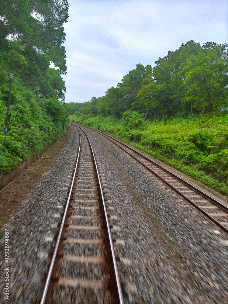 Fototapeta premium Two sets of parallel railroad tracks converging in the distance, surrounded by green trees, grass, and dry earth, with residential buildings visible in the background under a moody cloudy sky.