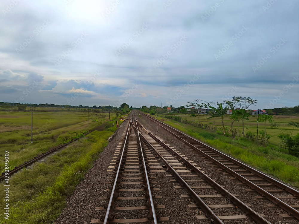 Fototapeta premium Two sets of parallel railroad tracks converging in the distance, surrounded by green trees, grass, and dry earth, with residential buildings visible in the background under a moody cloudy sky.