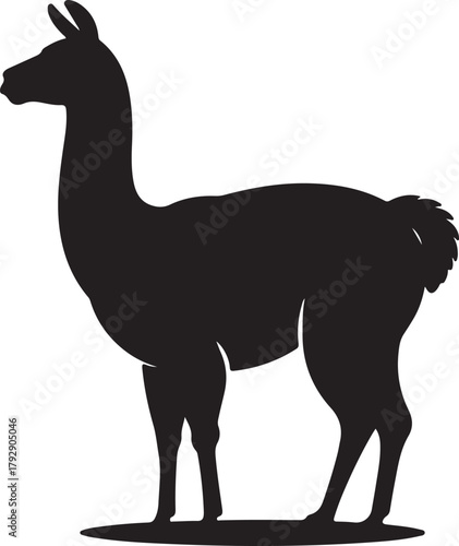 Black silhouette of a standing llama with a fluffy tail on a white background animal