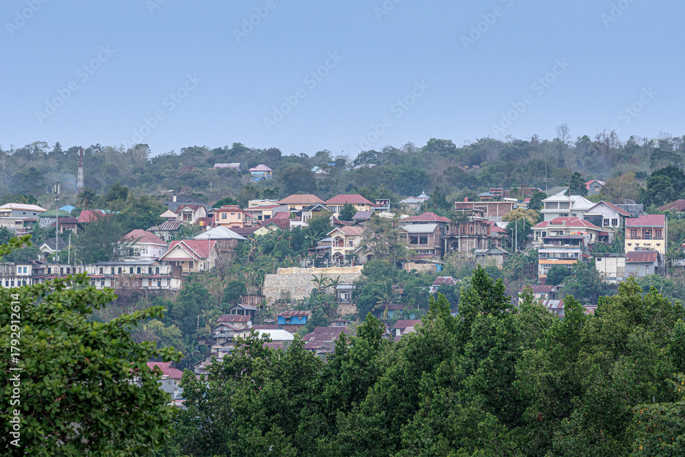 Fototapeta premium aerial view of the city