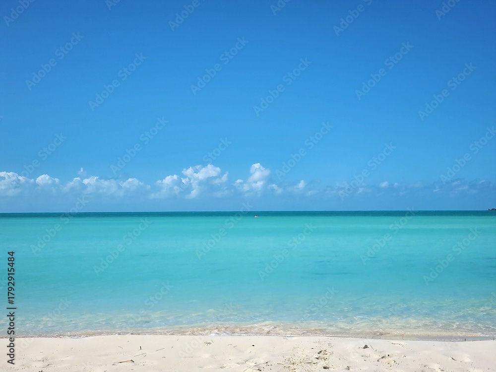 Fototapeta premium Caribbean Island Beach ocean views 
