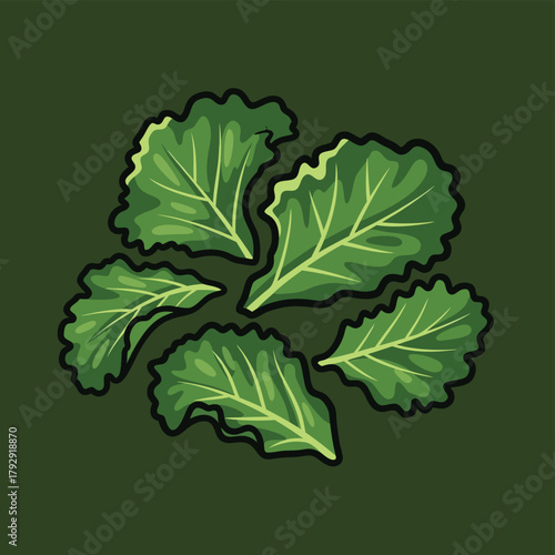 Vector illustration of fresh green leafy vegetables, possibly kale or collard greens, with detailed veins and ruffled edges on a dark background.