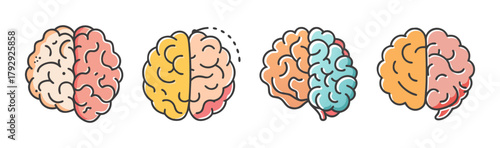 Human brain hemispheres logic creative mind anatomy medical thinking