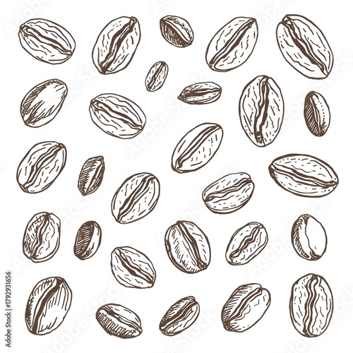 Hand Drawn Coffee Beans Background