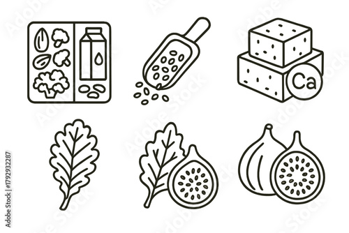 Vegan Calcium Icons. Line style icons of vegan diet: vegan sources of calcium, fortified plant milk icon, sesame seeds scoop, tofu