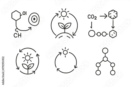 Artificial Photosynthesis Icons. Line style icons of artificial photosynthesis: synthetic metabolism, artificial photosynthetic