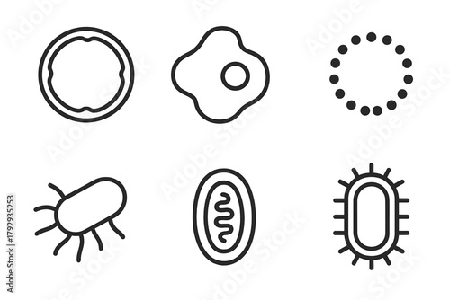 Microbiology Line Art Icons. Line style icons of microbiology: cell membrane, cytoplasm icon, ribosome dot, nucleoid region, pili