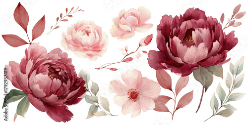 Elegant floral arrangement of blush pink and burgundy roses and peonies.  Delicate leaves and stems.  Watercolor-like style