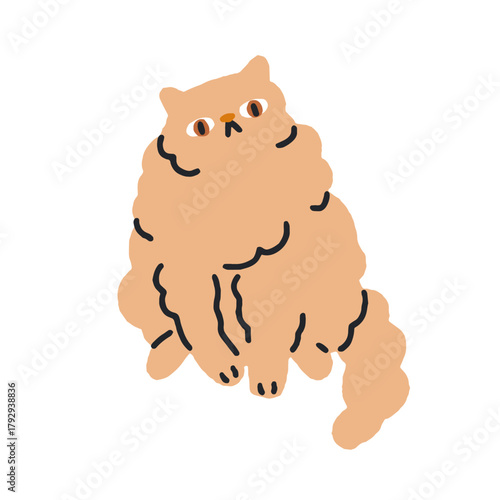 Fluffy curious cat sitting and looking. Funny cute long-haired feline with puzzled expression, staring, humor pose. Furry pet in comic style. Flat vector illustration isolated on white background.