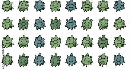 Group of turtles with transparent background