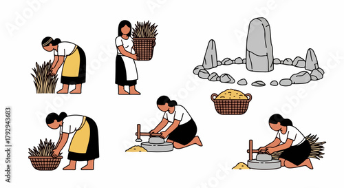 Traditional rice farming process with stone tools