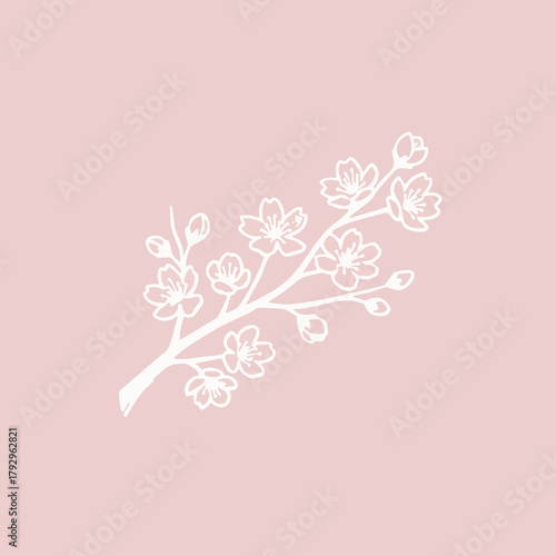 tabebuya-flower,Cherry Blossom, Sakura, Flower, Floral, Pink, Pastel, Soft Pink, Light Pink, White, Minimalist, Simple, Illustration, Drawing, Sketch, Line Art, Outline, Chalk, Hand-Drawn, Aesthetic