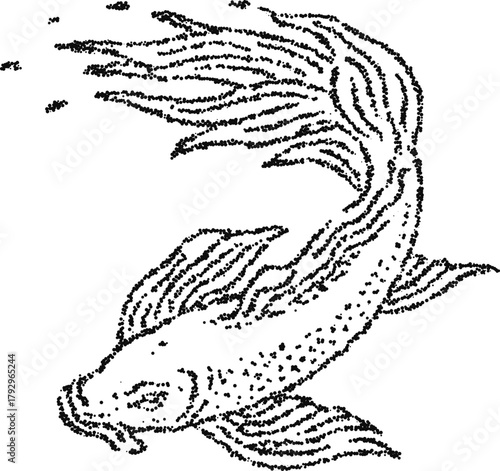Flowing fin fish in motion, vintage stipple dotwork vector illustration, monochrome engraving style aquatic decorative art