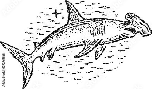 Hammerhead shark swimming over waves, vintage stipple dotwork vector illustration, monochrome engraving style marine predator icon