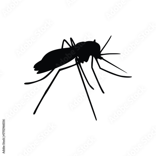 Black silhouette of a mosquito on a white background Keywords: mosquito, insect, silhouette