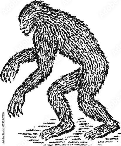 Bigfoot sasquatch walking pose, vintage stipple dotwork vector illustration, monochrome engraving style cryptid forest creature