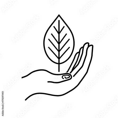 Hand Holding Leaf