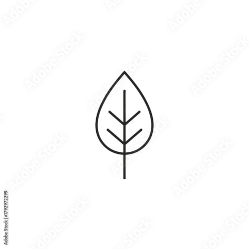 Minimal Leaf Icon
