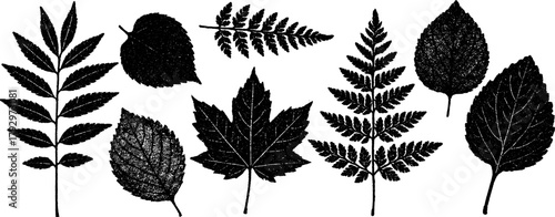 Set of retro xerography halftone engraved leaves — black and white botanical art with vintage grain texture, isolated on transparent background.