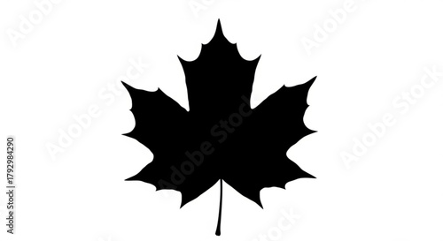 Silhouette of a maple leaf with pointed edges and a stem isolated on a white background design element