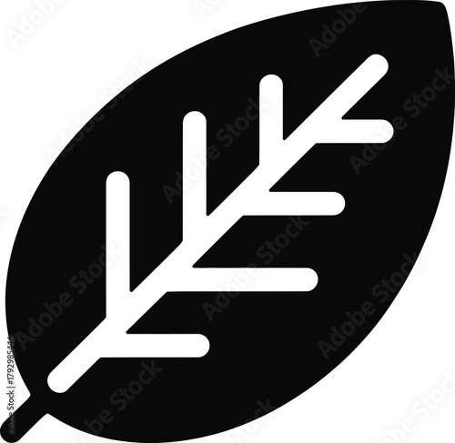 Stylized black leaf icon with white vein details, representing nature, ecology, organic products, environmental conservation, plant life, and eco-friendly branding concepts.