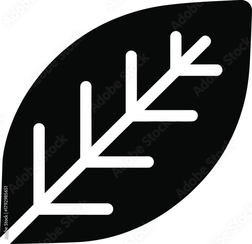 Stylized abstract black leaf icon with prominent white veins, representing nature, organic concepts, ecology, sustainability, growth, freshness, and plant life symbol.