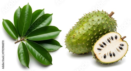 Fresh soursop fruit and leaves isolated on white