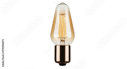 Isolated vintage-style LED lightbulb with Edison-style filaments, energy-saving bulb, retro lamp