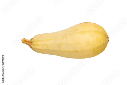 Fresh Butternut Squash Isolated on Transparent Background in Studio Shot Perfect for Fall Recipes