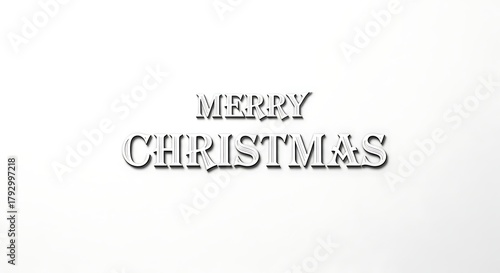 Elegant 'Merry Christmas' text in a clean, crisp white graphic design setting.