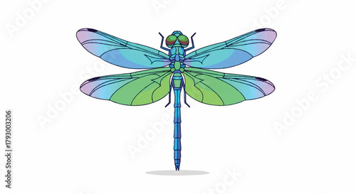 Colorful dragonfly vector illustration featuring bold wings and a vibrant body, presented in a flat 2D style, perfect for representing nature, wildlife, and insect concepts.