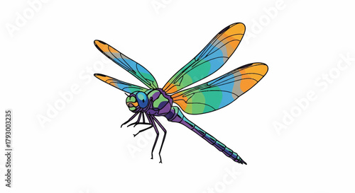 A vibrant, flat 2D vector illustration depicts a colorful dragonfly caught mid-flight, showcasing dynamic motion and the beauty of isolated wildlife on a pure white background.
